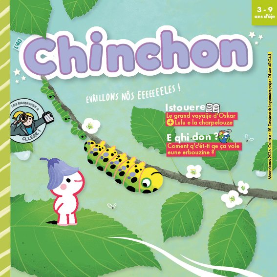 Couverture - Chinchon 40